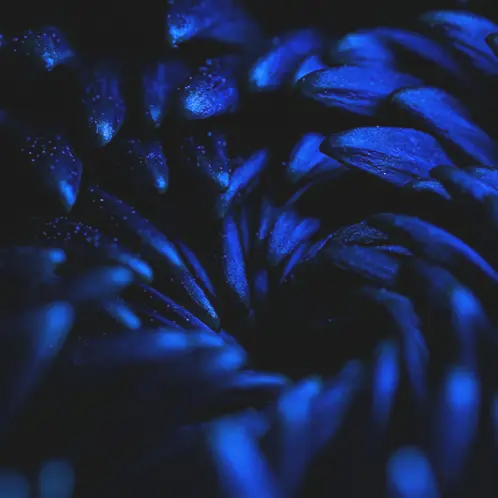 Разработка сайтов и чат-ботов Interlink Studio